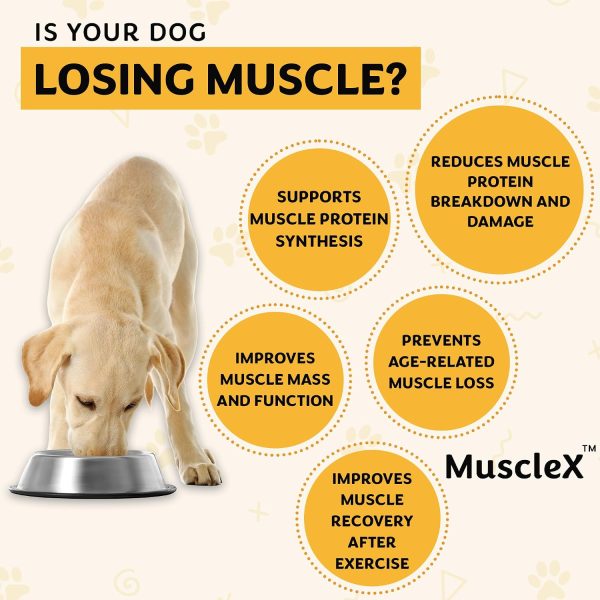 MuscleX Canine Muscle Formula – 300 mg CaHMB Vitamin D3 (90 Caps)-2