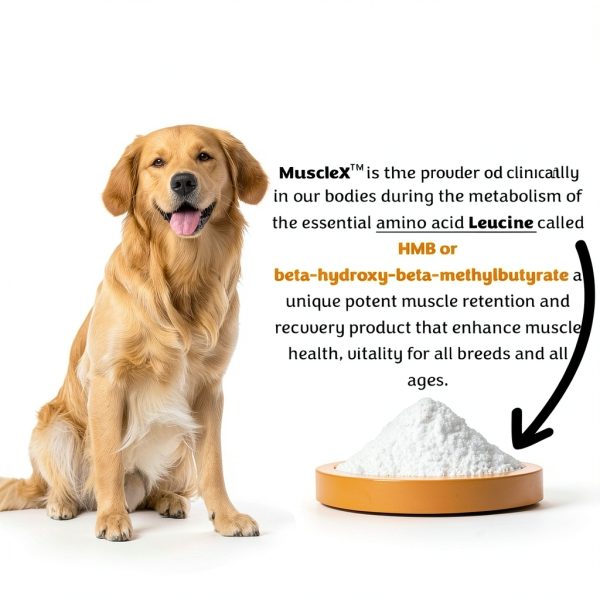 MuscleX Canine Muscle Formula – 300 mg CaHMB Vitamin D3 (90 Caps)-5