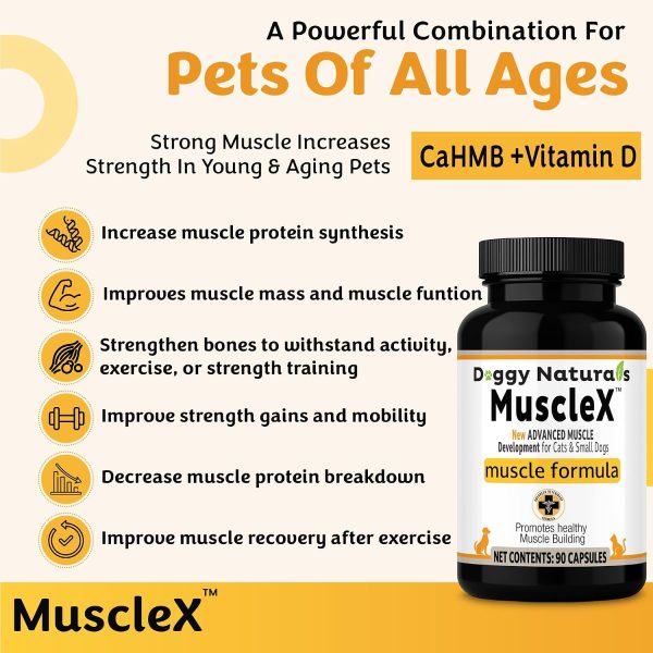 MuscleX Canine Muscle Formula – 300 mg CaHMB Vitamin D3 (90 Caps)-3
