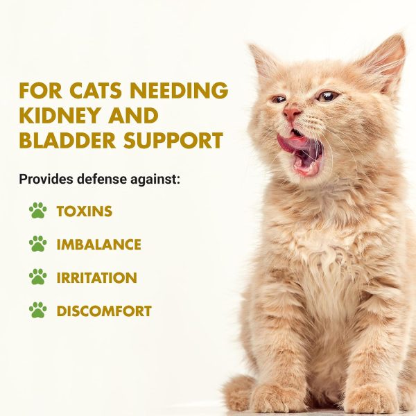 LIQUID-VET Feline Kidney & Bladder Advanced Formula Plain 8 oz-1