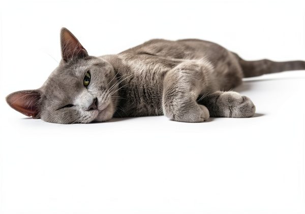 Hyalogic HyaFlex Hyaluronic Acid for Cats Joint, Skin and Coat 30ml-3